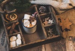 kaiyun.com-NBA赛季助攻王表现动态，nba本赛季助攻王