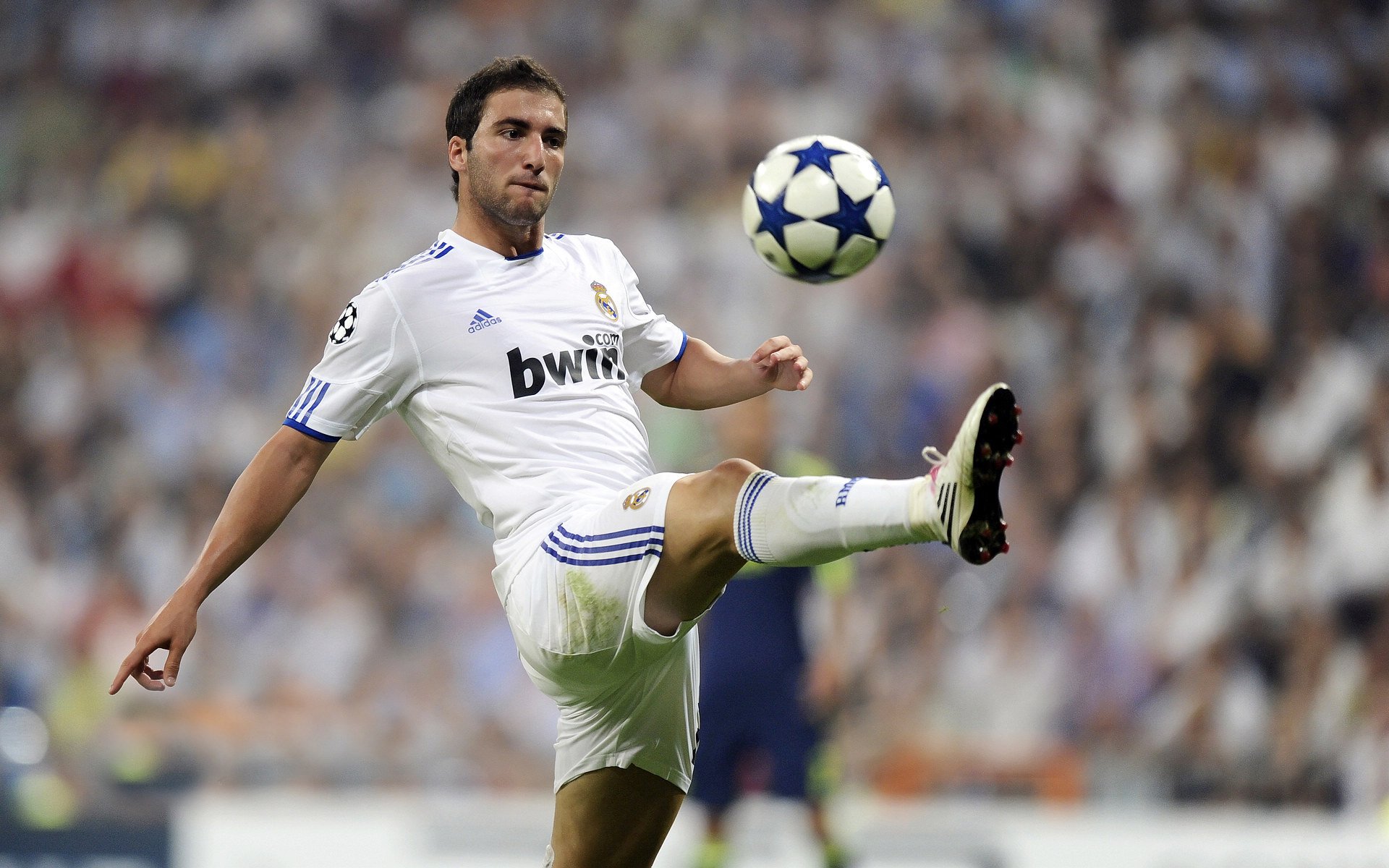 “南非羚羊队队员萨尔·巴赫：球场外的低调人生”